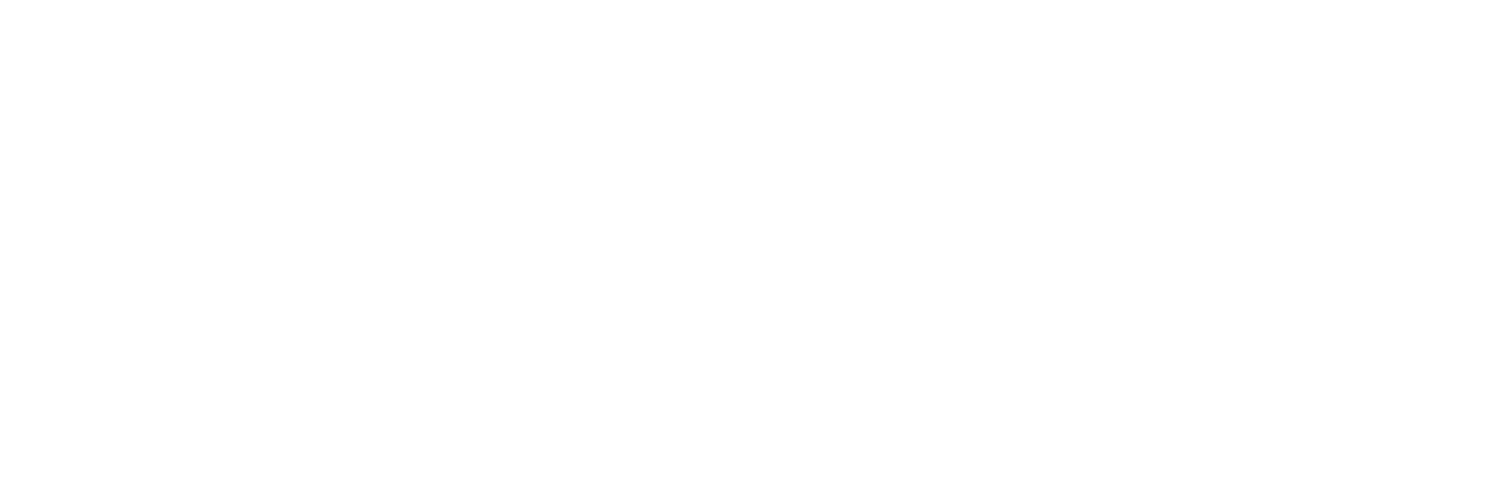 Liga Insights